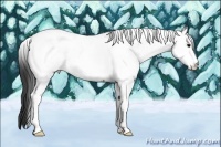 Horse Color:White Spotted Grullo Roan Tobiano
