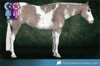 Horse Color:Silver Black Sabino Tobiano 