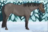 Horse Color:Smoky Grullo 