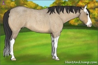 Horse Color:Buckskin Roan Dun Splash 