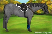 Horse Color:Smoky Blue Roan 