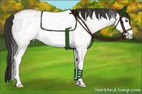 Horse Color:White Spotted Buckskin Roan Dun 