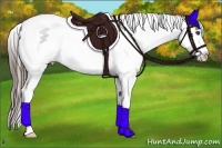 Horse Color:Black Sabino Splash Varnish 