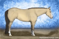 Horse Color:Amber Cream Champagne Dun Sabino 