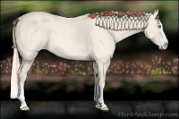 Horse Color:Perlino Roan Splash 