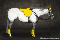 Horse Color:Black Sabino Appaloosa 