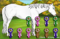 Horse Color:Gray Perlino Roan