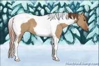 Horse Color:Red Dun Tobiano