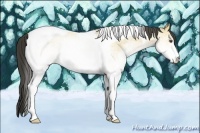Horse Color:White Spotted Buckskin Dun Tobiano Rabicano 