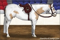 Horse Color:Buckskin Splash Tobiano Frame 