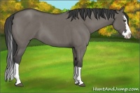 Horse Color:Smoky Grullo Roan Splash 