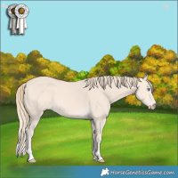 Horse Color:Perlino 