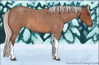 Horse Color:Silver Bay Roan Tobiano 