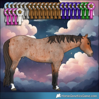 Horse Color:Unknown