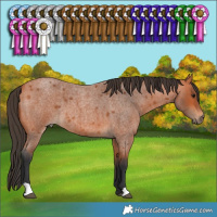 Horse Color:Unknown 