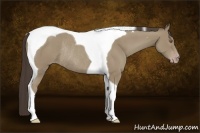 Horse Color:Classic Cream Champagne Tobiano Rabicano 