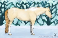 Horse Color:Gold Champagne Pearl Dun Tobiano 