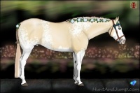Horse Color:White Spotted Red Dun Pearl Splash