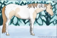 Horse Color:Smoky Black Pearl Tobiano 