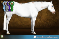 Horse Color:White Spotted Silver Bay Dun Splash Frame 