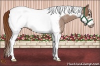 Horse Color:Red Roan Tobiano Frame Rabicano 