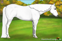 Horse Color:Gray Blue Roan 