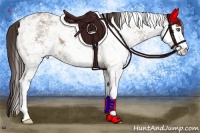 Horse Color:Classic Champagne Sabino