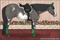 Horse Color:White Spotted Grullo Sabino Frame