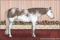 Horse Color:White Spotted Silver Black Sabino Splash