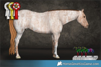 Horse Color:Red Ice Roan 