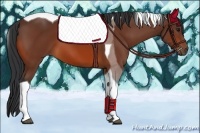Horse Color:Bay Tobiano 