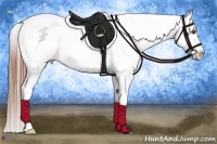 Horse Color:Black Sabino Splash Appaloosa