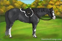 Horse Color:Black Sabino Splash Rabicano