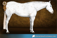 Horse Color:White Spotted Black Pearl Sabino Splash Rabicano Brindle