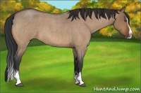 Horse Color:White Spotted Bay Roan Dun Splash