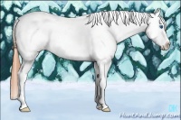 Horse Color:Buckskin Tobiano Frame Appaloosa 