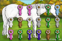 Horse Color:Gray Perlino Roan Dun Splash 