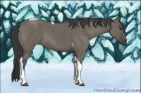 Horse Color:Smoky Grullo Tobiano 