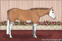 Horse Color:Silver Bay Splash 