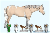 Horse Color:Silver Amber Champagne Dun Splash Tobiano 