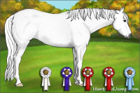 Horse Color:Gray Buckskin Tobiano Rabicano