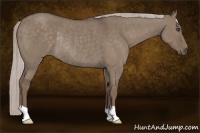 Horse Color:Silver Grullo Rabicano