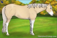 Horse Color:Silver Amber Champagne Dun Sabino