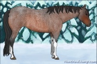 Horse Color:Bay Roan Tobiano Rabicano