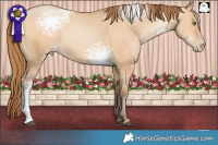 Horse Color:White Spotted Bay Pearl Dun 
