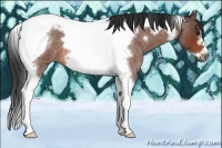 Horse Color:Bay Roan Tobiano Frame 