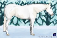 Horse Color:Smoky Creme Roan Dun Splash Tobiano 