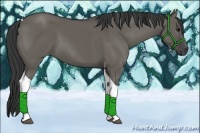 Horse Color:Grullo Tobiano 