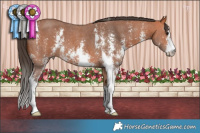 Horse Color:Bay Sabino 