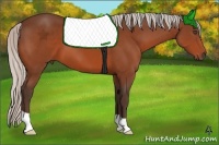 Horse Color:Silver Bay 